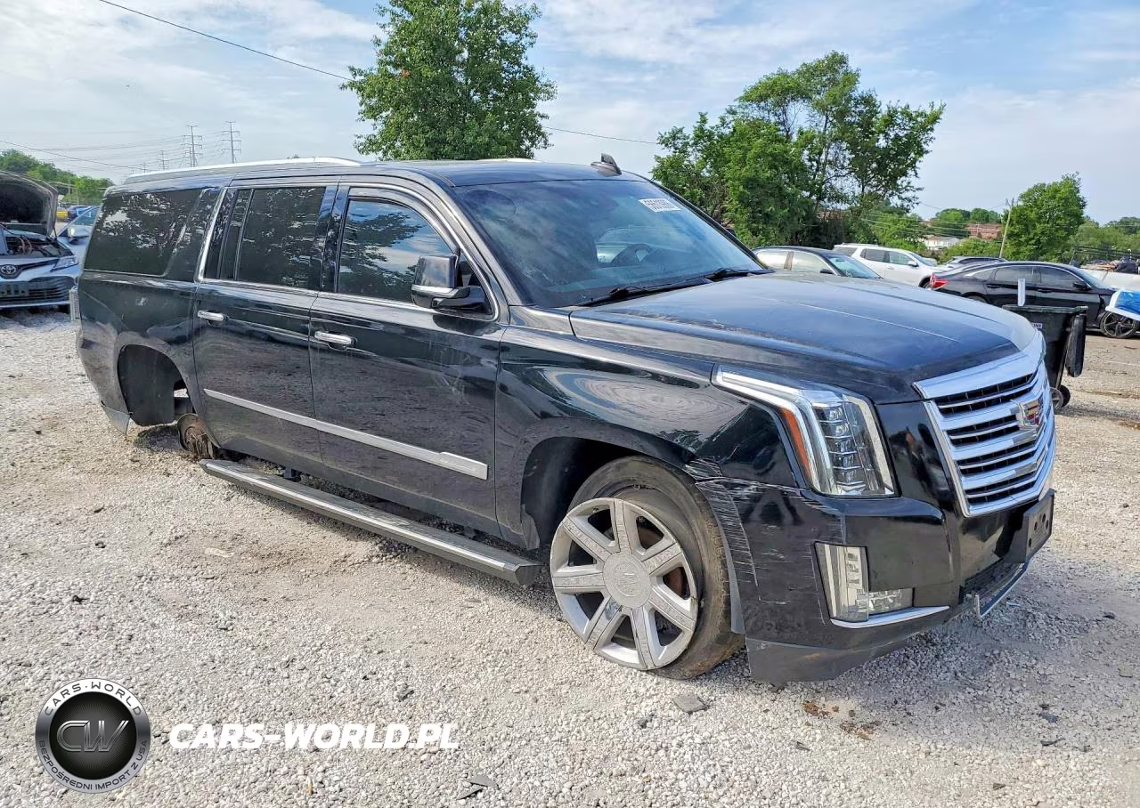 2019 Cadillac Escalade Esv Platinum VIN:1GYS3KKJXKR162910 - 4