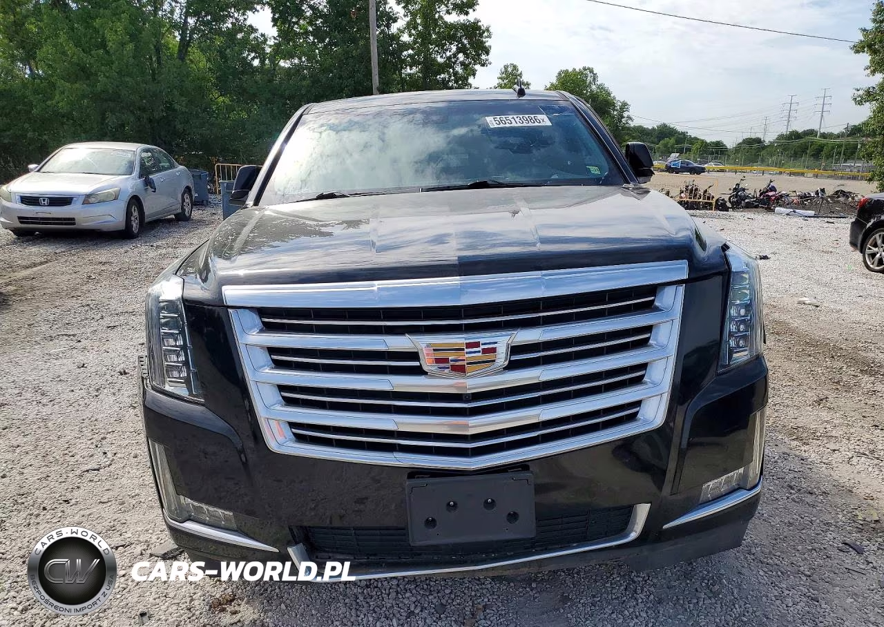 2019 Cadillac Escalade Esv Platinum VIN:1GYS3KKJXKR162910 - 5