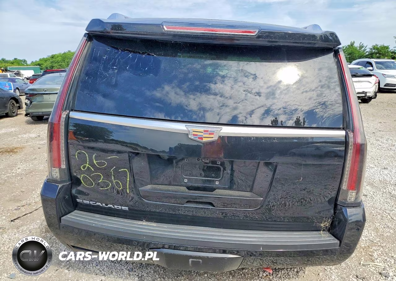 2019 Cadillac Escalade Esv Platinum VIN:1GYS3KKJXKR162910 - 6