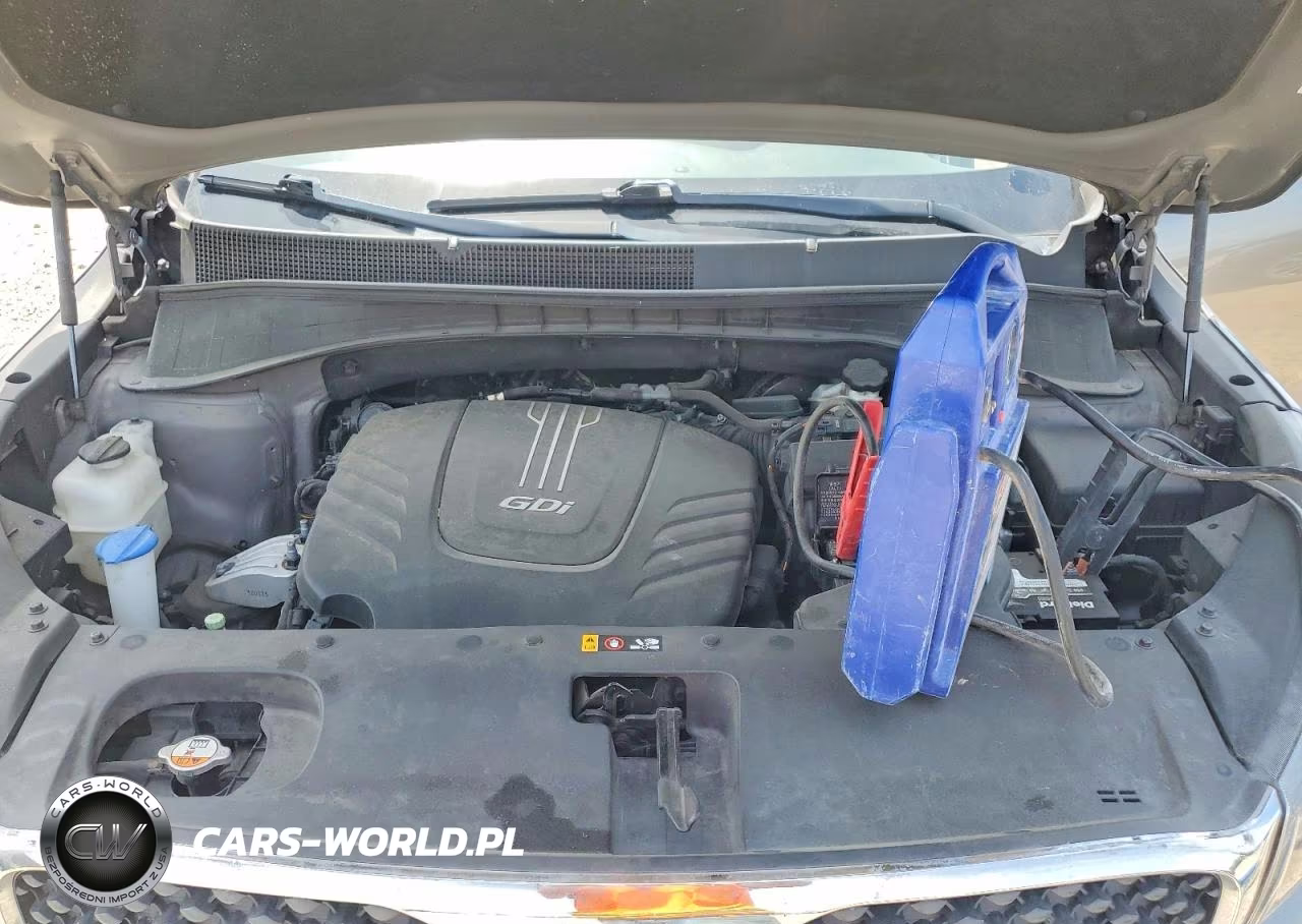 2017 Kia Sorento Lx V6 VIN:5XYPGDA56HG209132 - 12