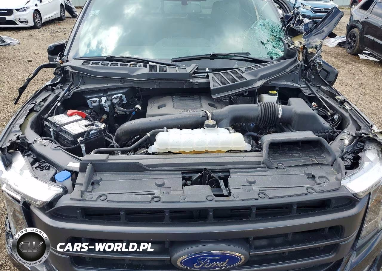 2023 Ford F150 Supercrew VIN:1FTFW1E88PKF52129 - 11