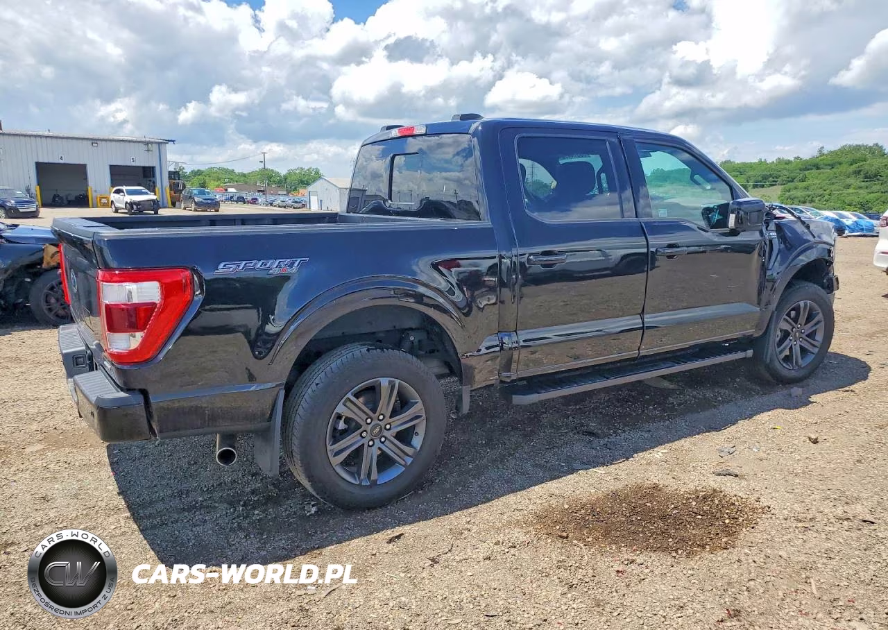2023 Ford F150 Supercrew VIN:1FTFW1E88PKF52129 - 3