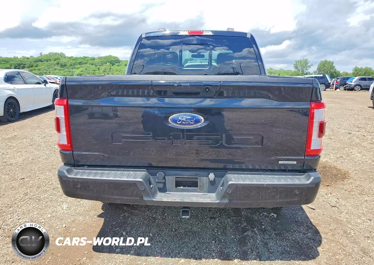 2023 Ford F150 Supercrew VIN:1FTFW1E88PKF52129 - 6