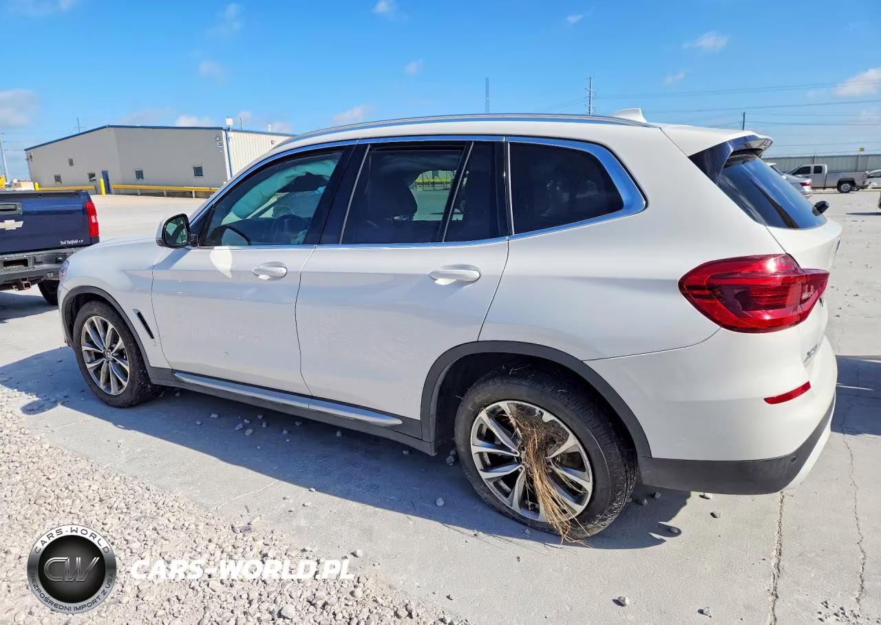 2019 BMW X3 Sdrive30I VIN:5UXTR7C53KLE94134 - 2