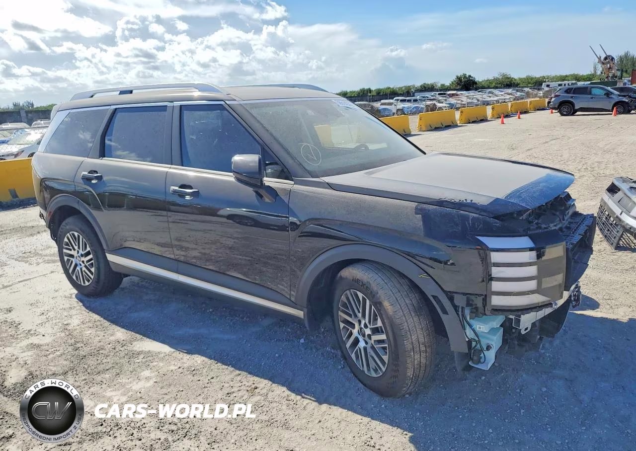 2026 Hyundai Palisade Sel VIN:KM8RL5S29TU104134 - 4