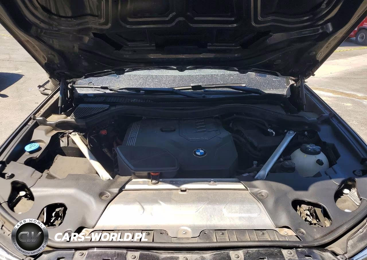 2023 BMW X3 Sdrive30I VIN:5UX43DP04P9S81519 - 12