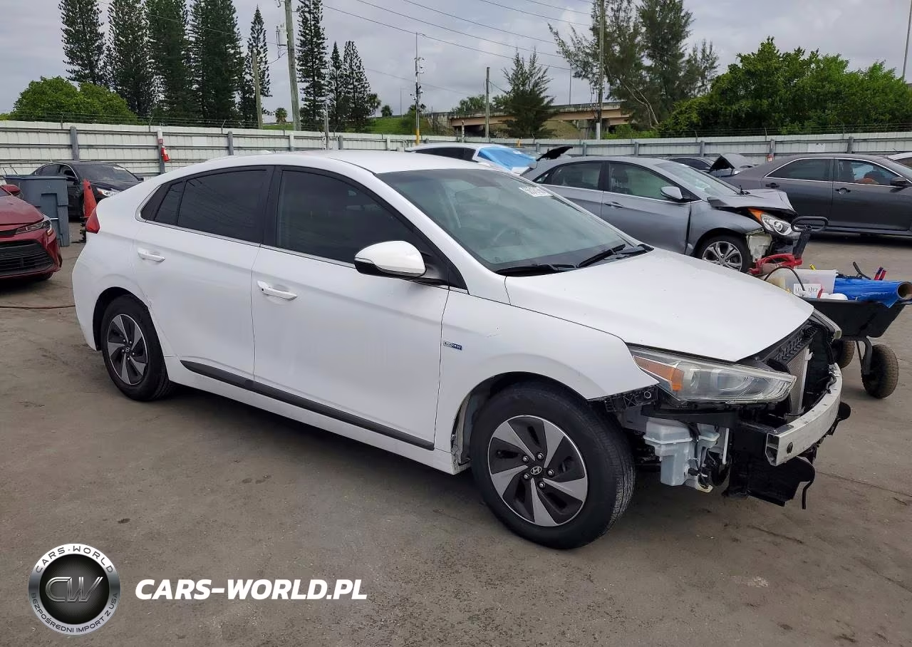 2017 Hyundai Ioniq Sel VIN:KMHC75LC1HU028756 - 4