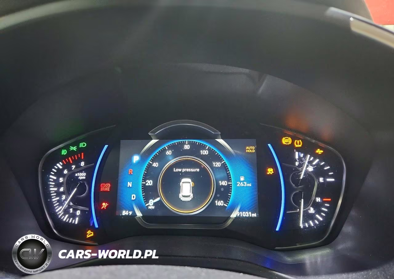 2020 Hyundai Santa Fe Limited 2.0T VIN:5NMS5CAA1LH289865 - 9