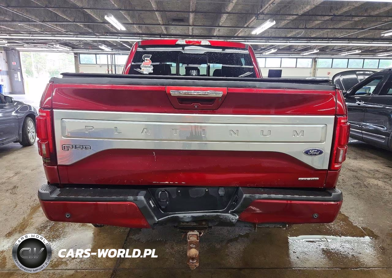 2015 Ford F150 Supercrew VIN:1FTEW1EF8FFB89882 - 6