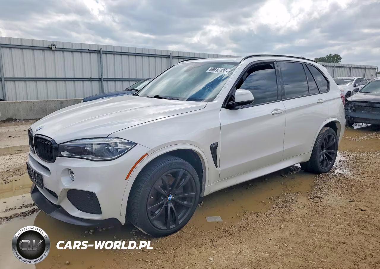 2014 BMW X5 xDrive50I – zdjęcie 1 z 12