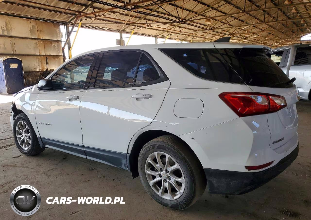 2019 Chevrolet Equinox Ls VIN:3GNAXHEV5KS651274 - 2