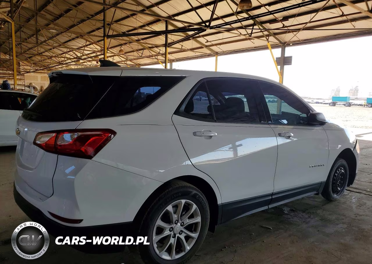 2019 Chevrolet Equinox Ls VIN:3GNAXHEV5KS651274 - 3