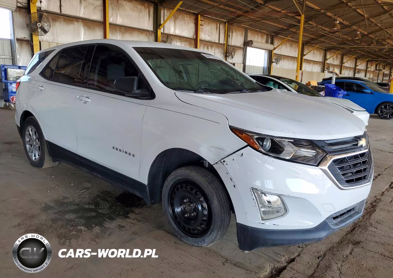 2019 Chevrolet Equinox Ls VIN:3GNAXHEV5KS651274 - 4