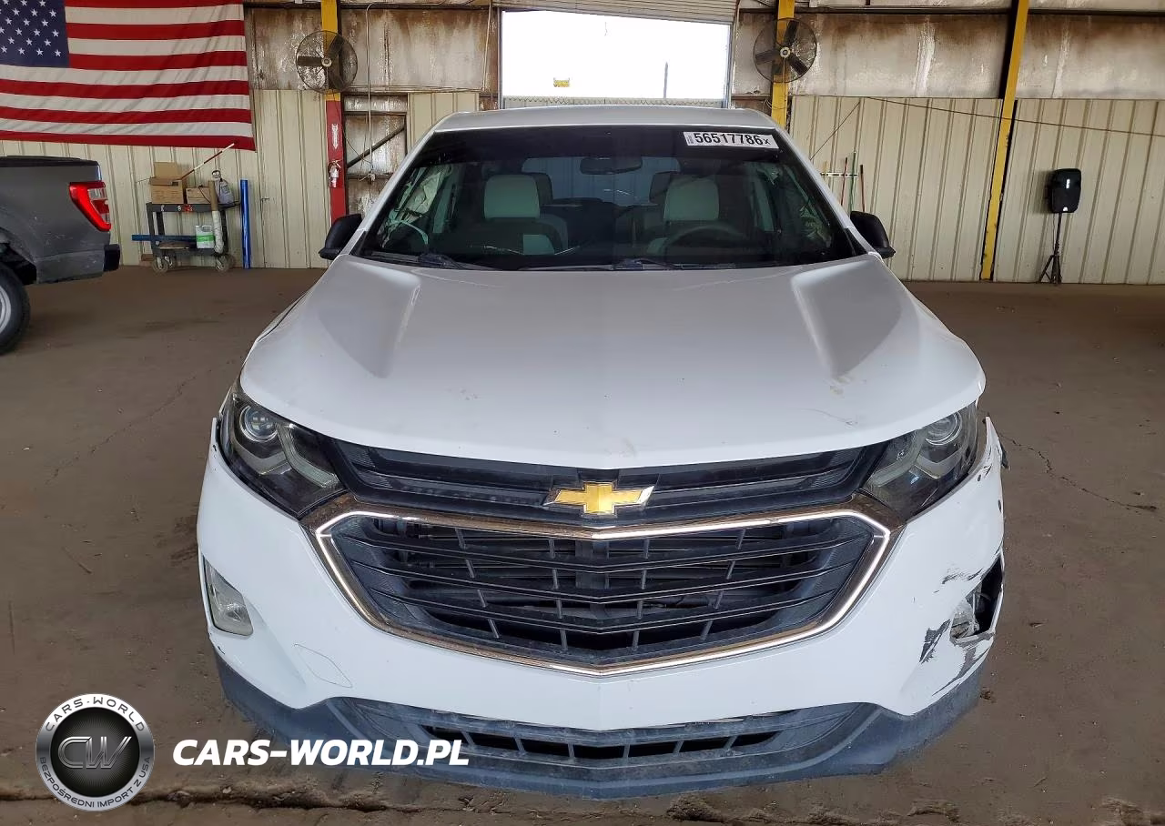 2019 Chevrolet Equinox Ls VIN:3GNAXHEV5KS651274 - 5