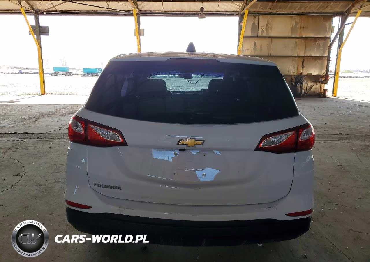 2019 Chevrolet Equinox Ls VIN:3GNAXHEV5KS651274 - 6