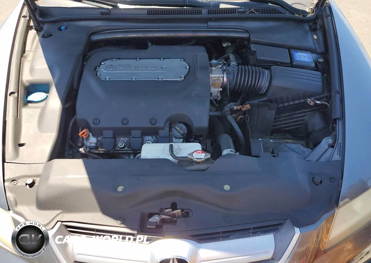2004 Acura 2.5 Tl VIN:19UUA66234A030816 - 11