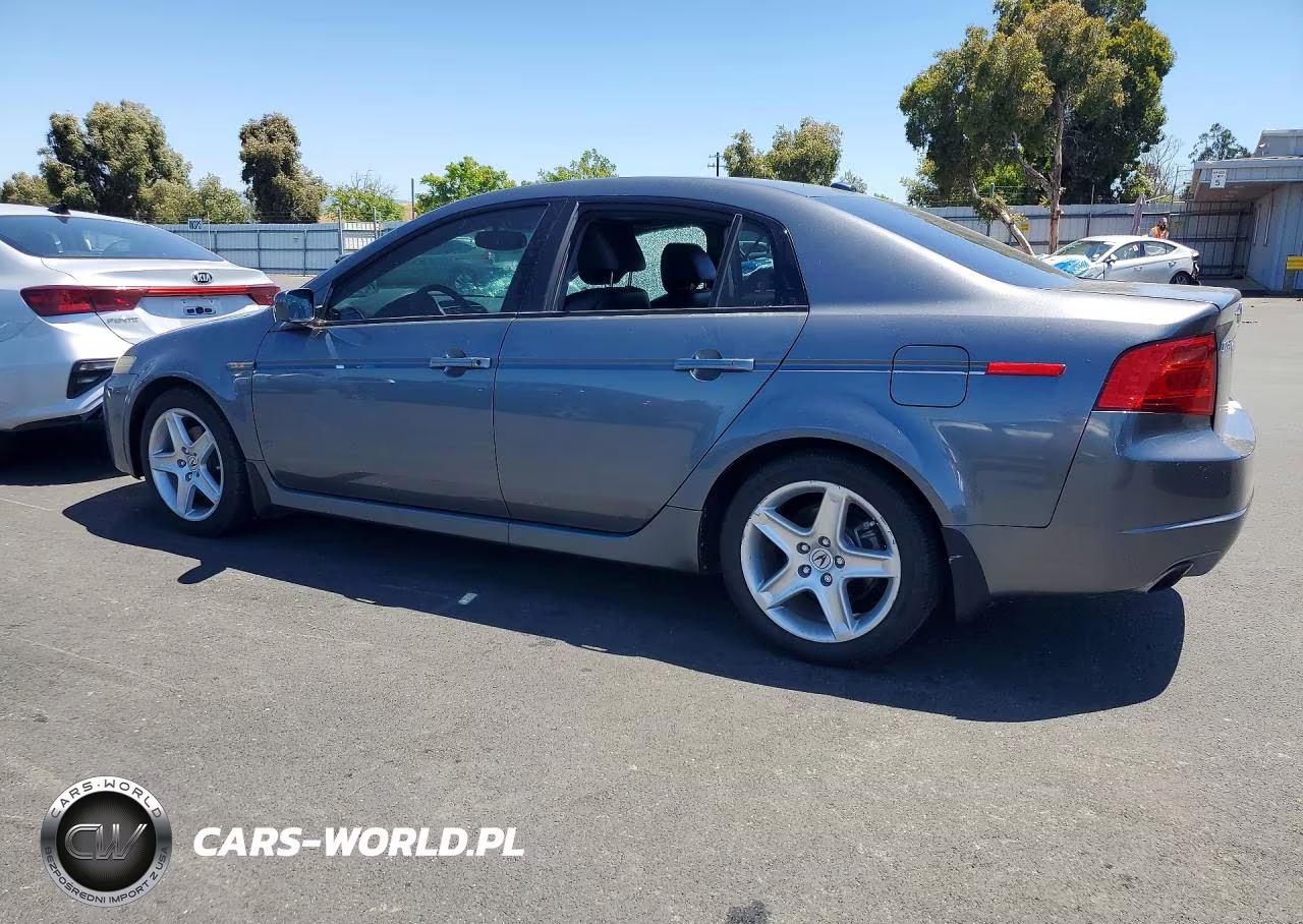 2004 Acura 2.5 Tl VIN:19UUA66234A030816 - 2