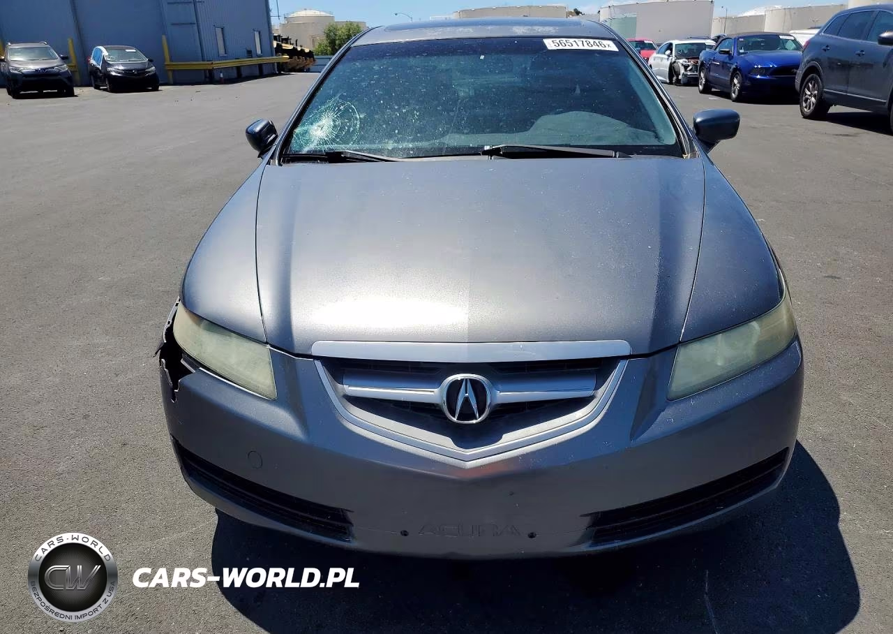 2004 Acura 2.5 Tl VIN:19UUA66234A030816 - 5