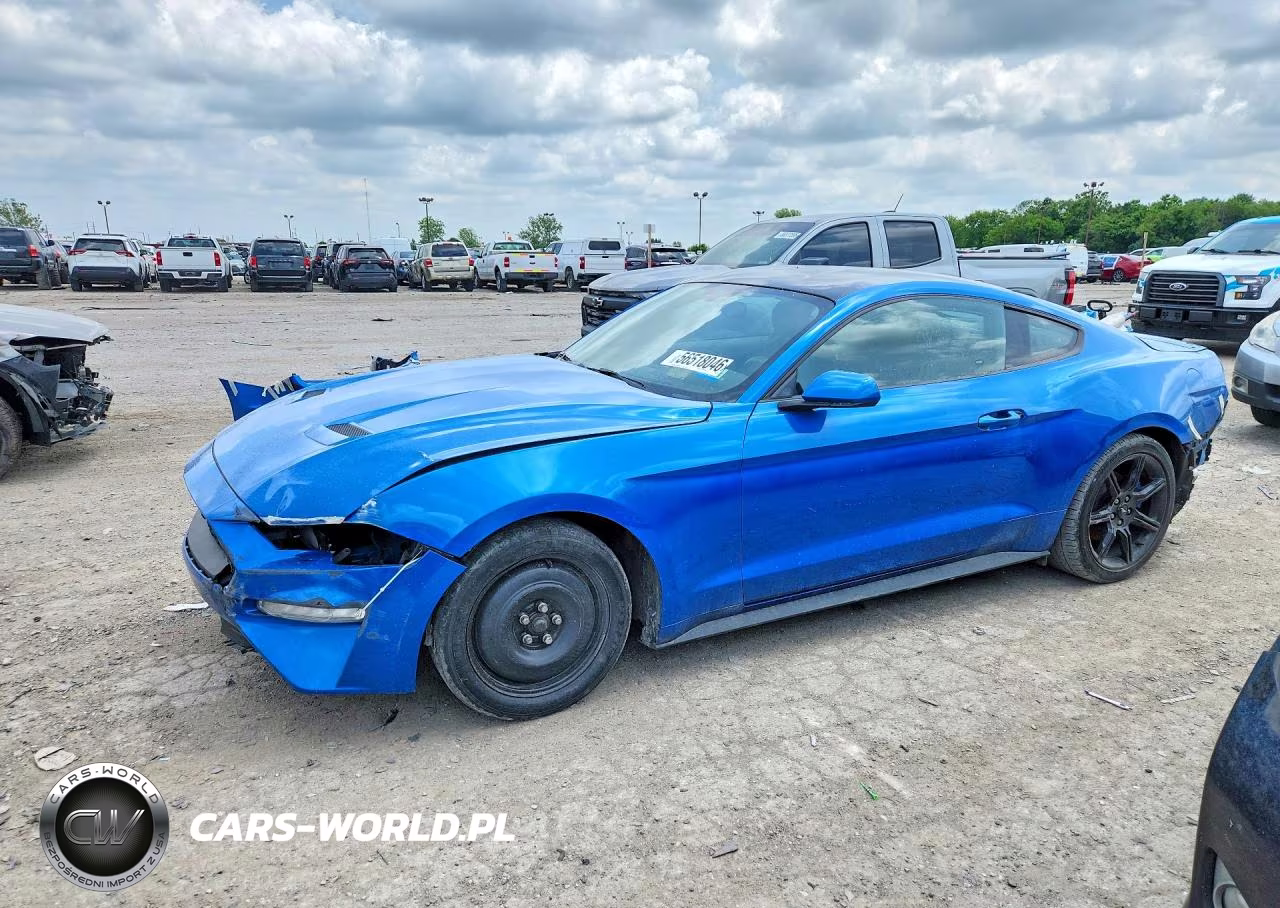 2019 Ford Mustang