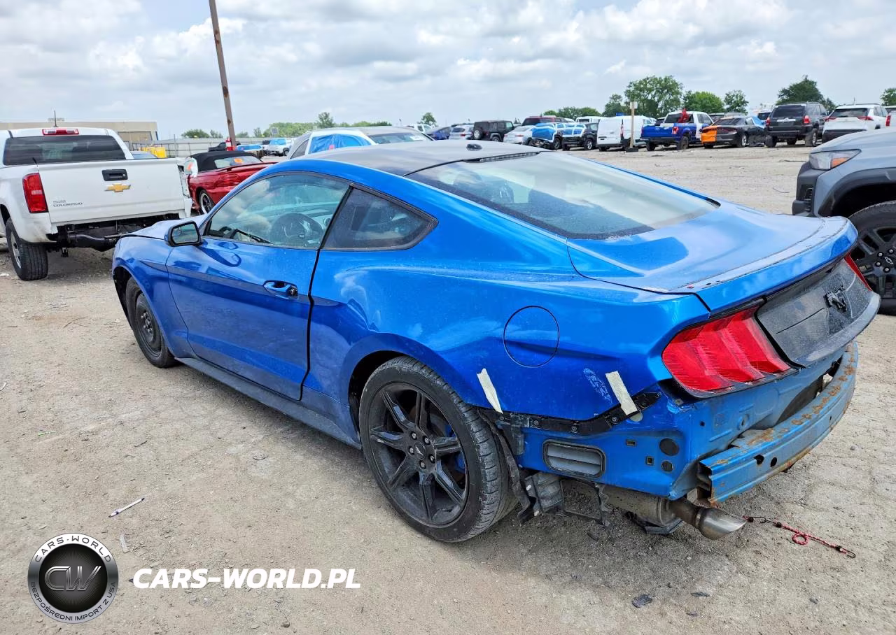 2019 Ford Mustang VIN:1FA6P8TH0K5133830 - 2