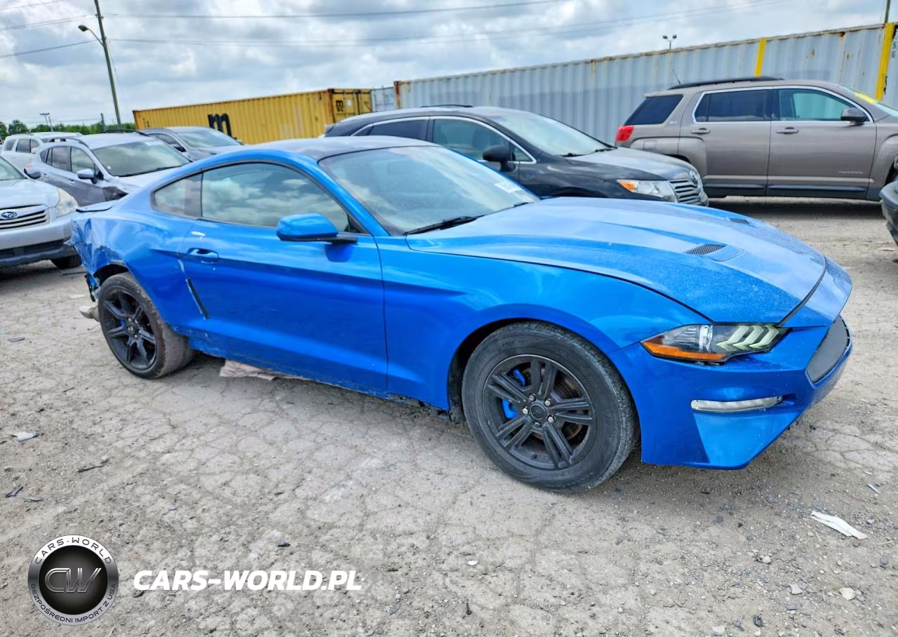2019 Ford Mustang VIN:1FA6P8TH0K5133830 - 4