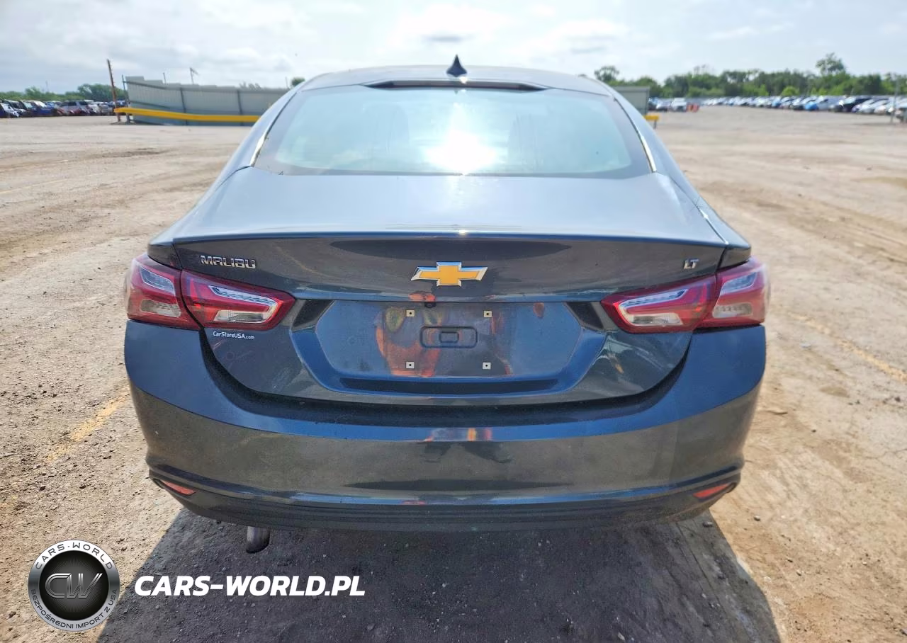2019 Chevrolet Malibu Lt VIN:1G1ZD5ST6KF167357 - 6