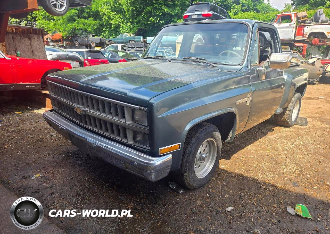 1982 Chevrolet C10 VIN:1GCDC14H1CS116508 - 2