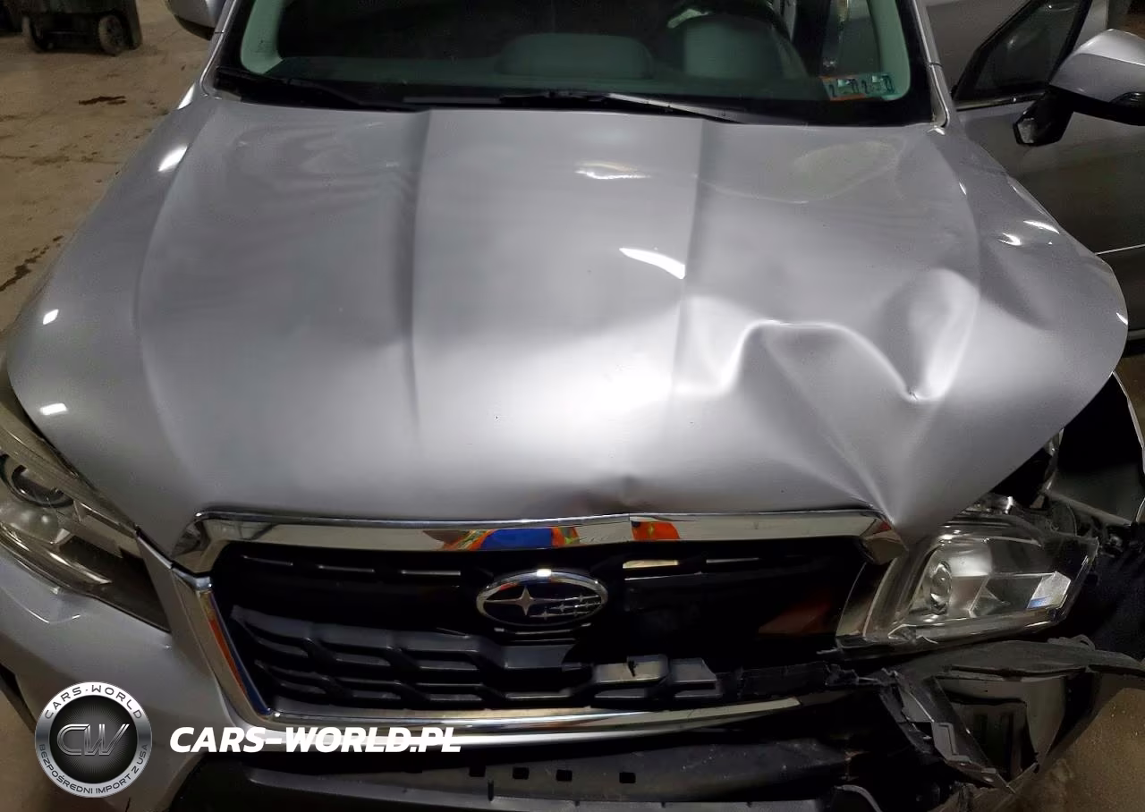 2017 Subaru Forester 2.0Xt Touring VIN:JF2SJGTC9HH401405 - 12