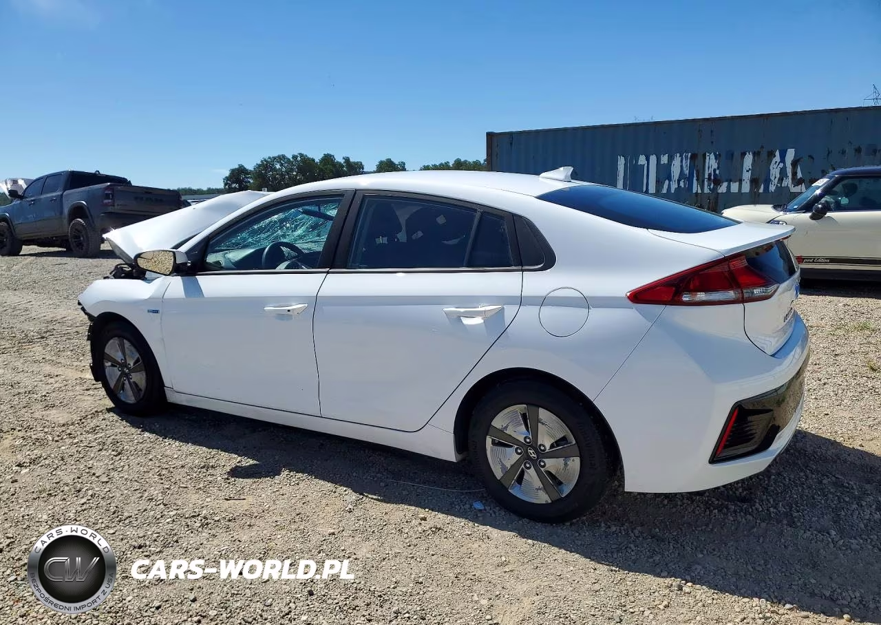 2019 Hyundai Ioniq Blue VIN:KMHC65LC8KU163548 - 2