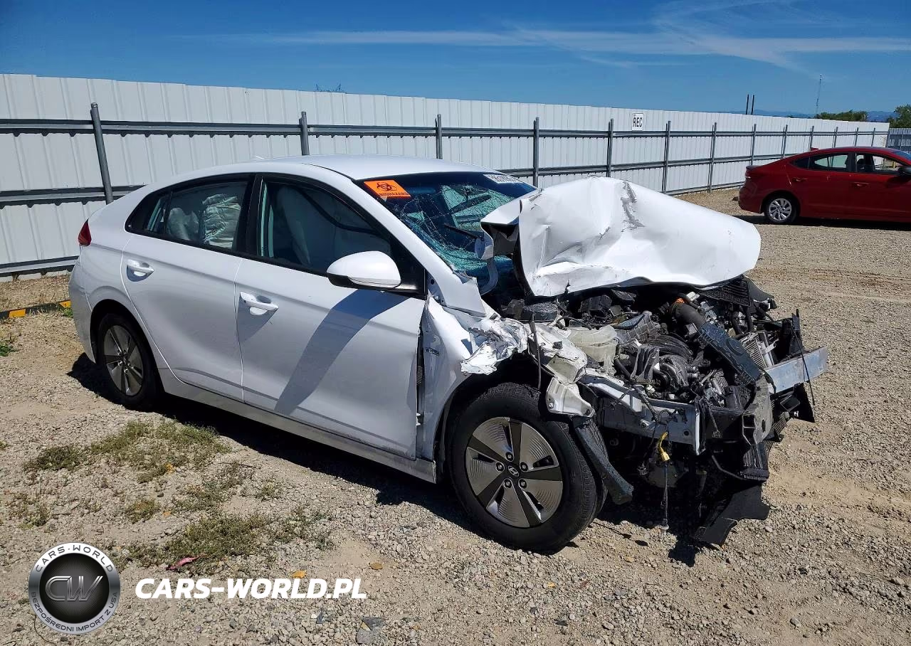 2019 Hyundai Ioniq Blue VIN:KMHC65LC8KU163548 - 4