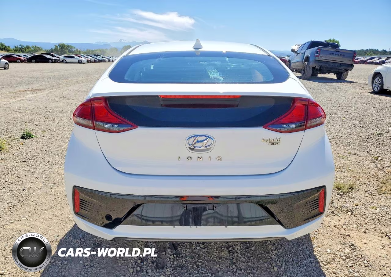 2019 Hyundai Ioniq Blue VIN:KMHC65LC8KU163548 - 6