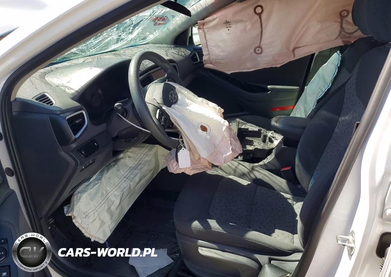 2019 Hyundai Ioniq Blue VIN:KMHC65LC8KU163548 - 7