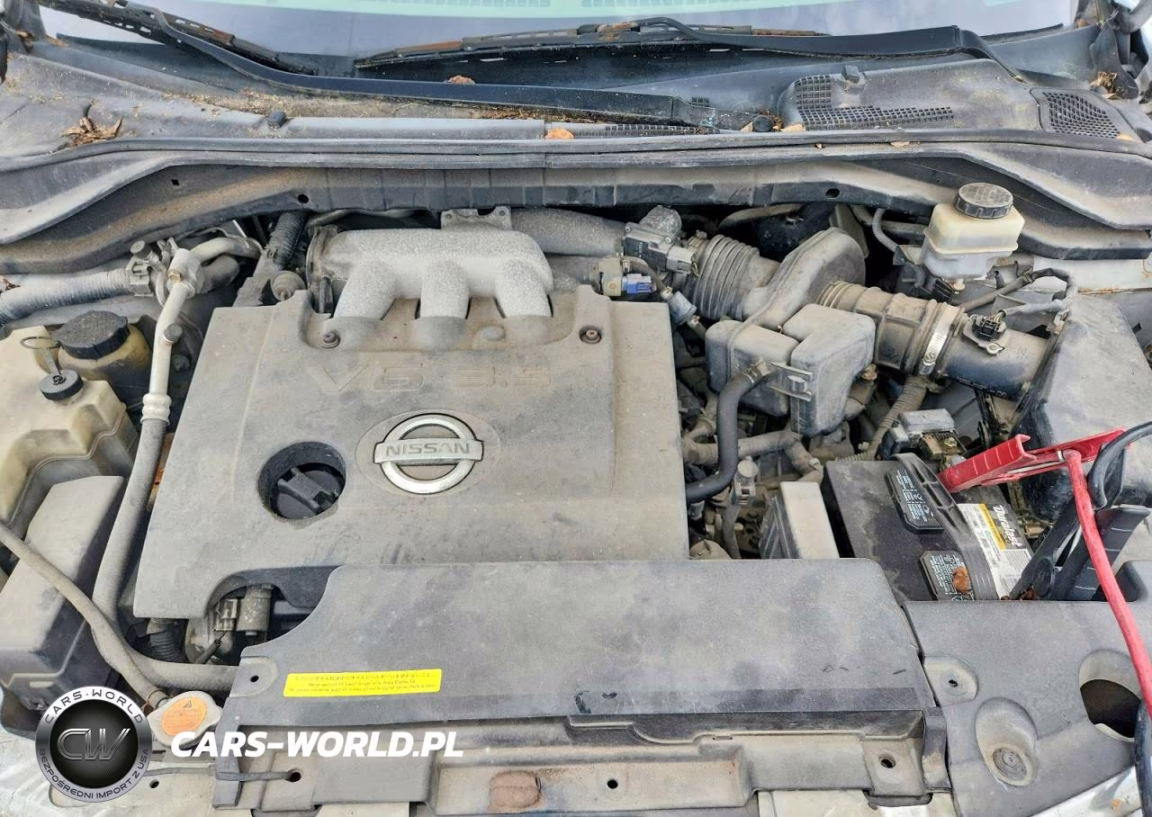 2004 Nissan Murano Sl VIN:JN8AZ08T14W205374 - 11