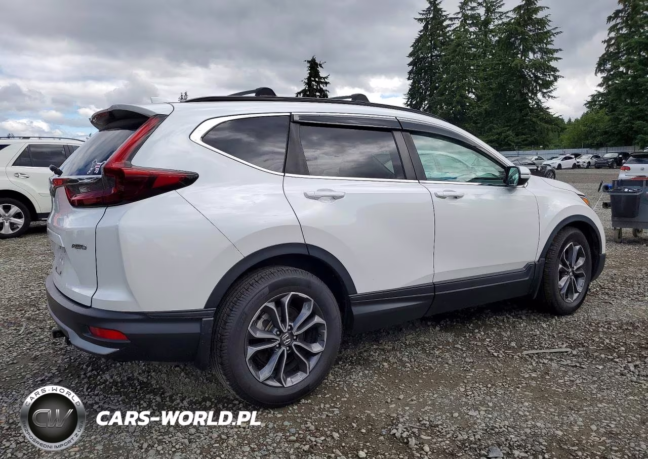 2020 Honda Cr-V Ex VIN:2HKRW2H56LH695383 - 3