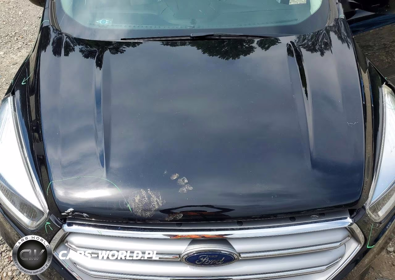 2017 Ford Escape Se VIN:1FMCU0G94HUE12332 - 12