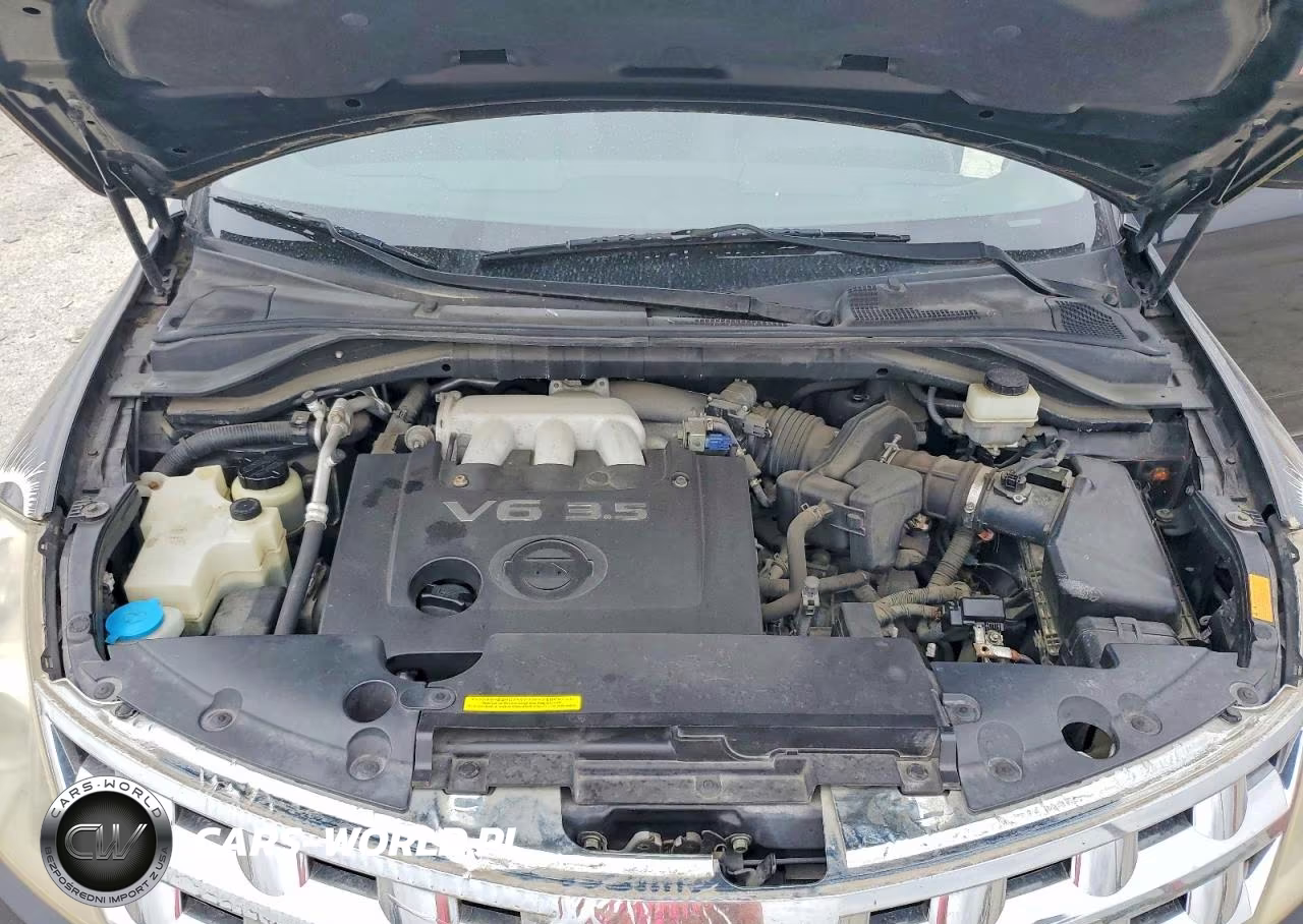 2004 Nissan Murano Sl VIN:JN8AZ08W34W304692 - 12