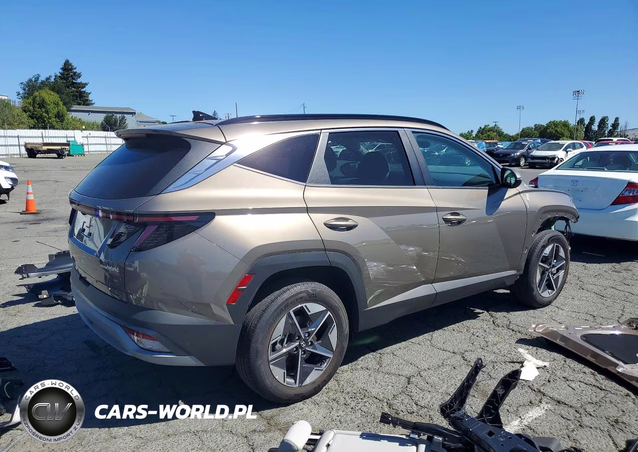 2025 Hyundai Tucson Sel Convenience VIN:KM8JCDD17SU249506 - 3