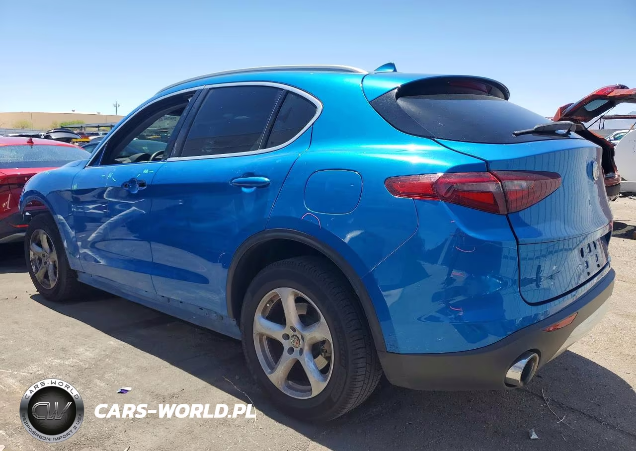 2020 Alfa Romeo Stelvio VIN:ZASPAJAN3L7C84304 - 2