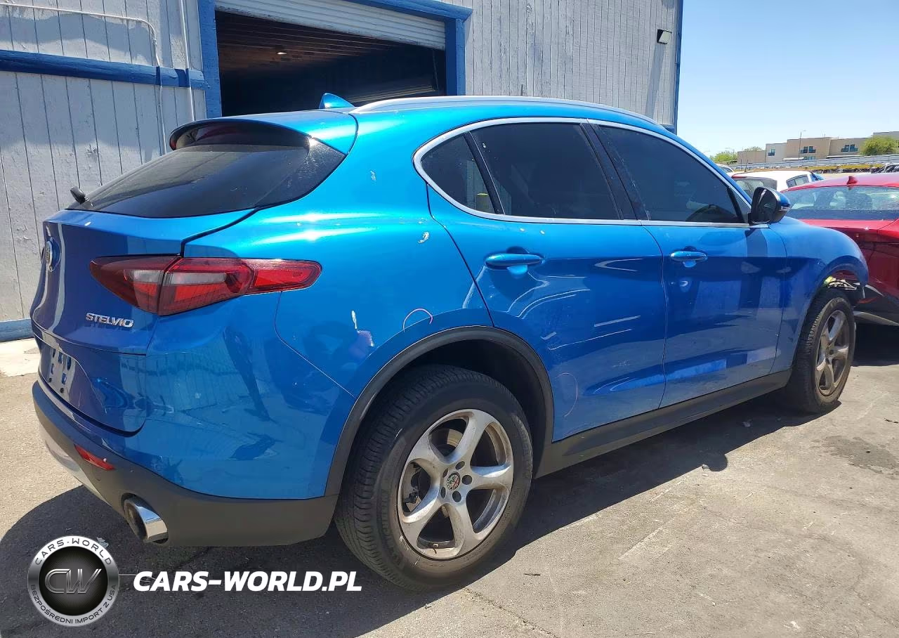 2020 Alfa Romeo Stelvio VIN:ZASPAJAN3L7C84304 - 3