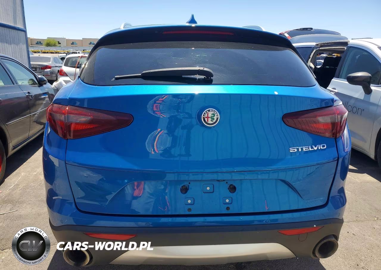 2020 Alfa Romeo Stelvio VIN:ZASPAJAN3L7C84304 - 6