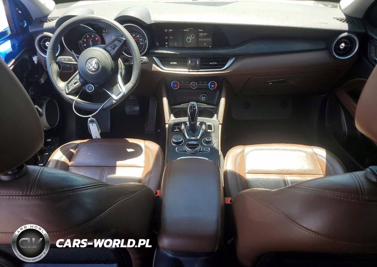 2020 Alfa Romeo Stelvio VIN:ZASPAJAN3L7C84304 - 8
