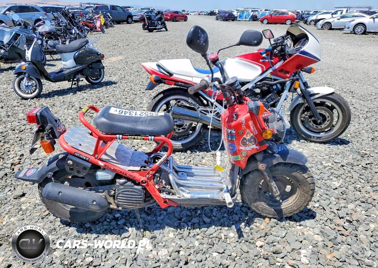 2009 Honda Nps50 – zdjęcie 1 z 9