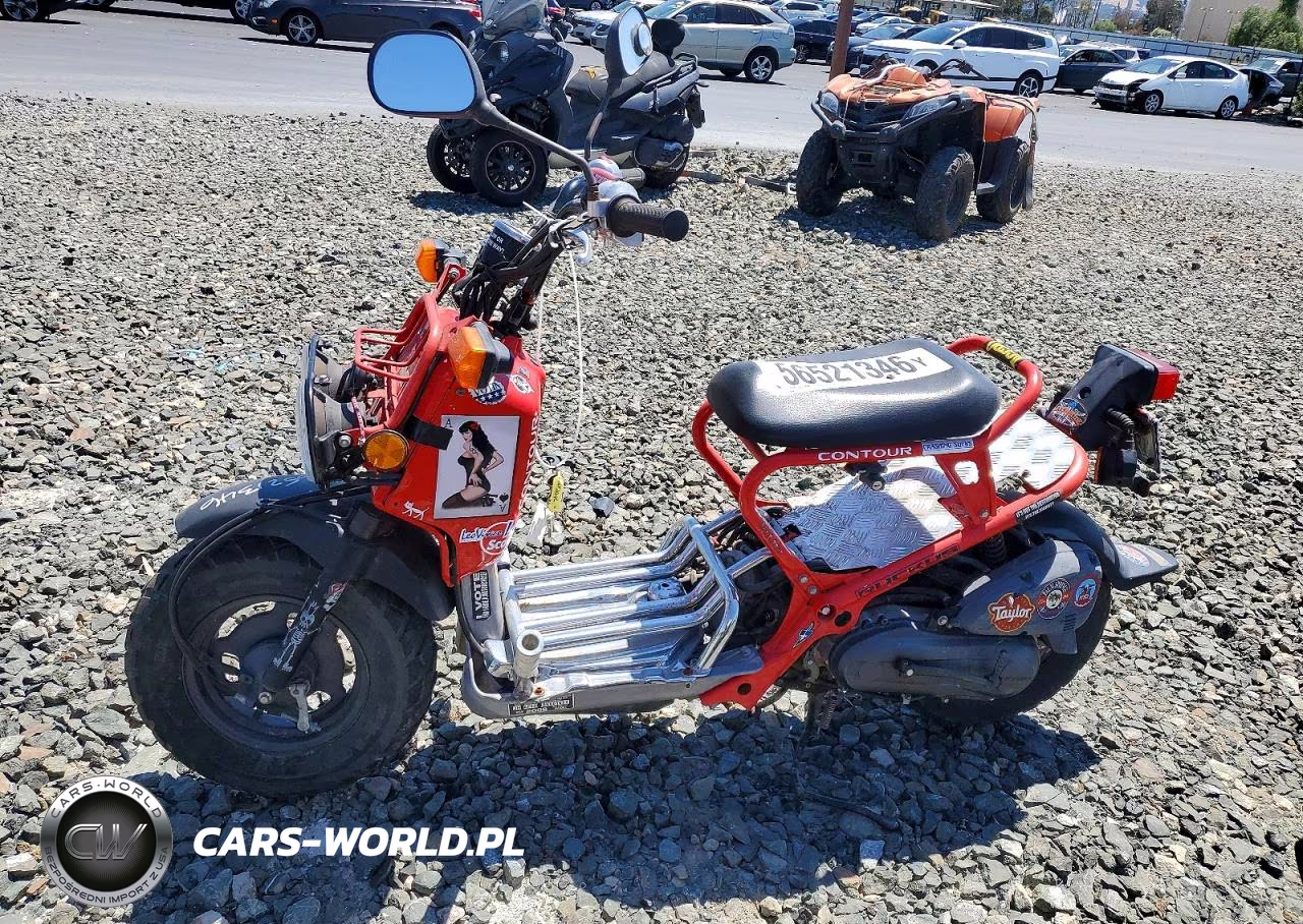 2009 Honda Nps50 VIN:JH2AF58019K601902 - 3