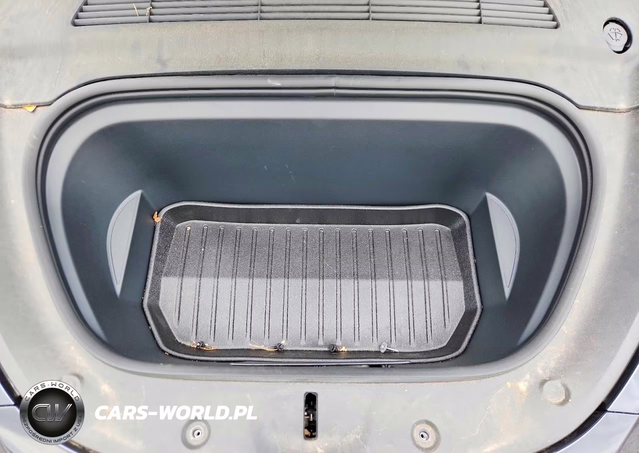 2024 Tesla Model Y VIN:7SAYGDEE5RA283102 - 11
