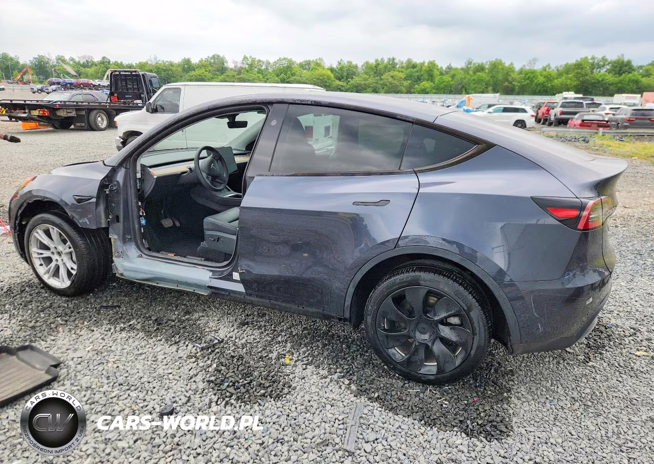2024 Tesla Model Y VIN:7SAYGDEE5RA283102 - 2
