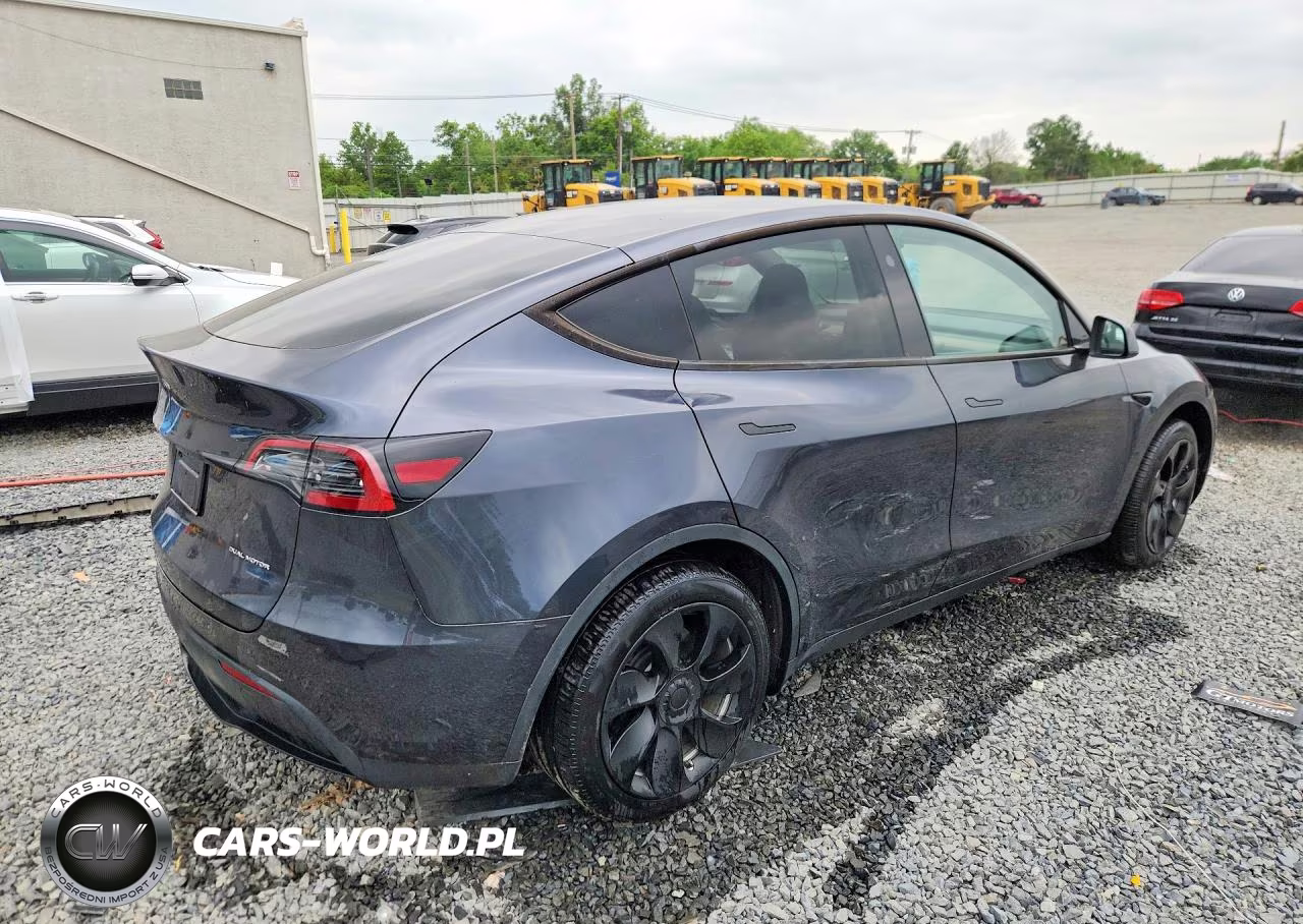 2024 Tesla Model Y VIN:7SAYGDEE5RA283102 - 3