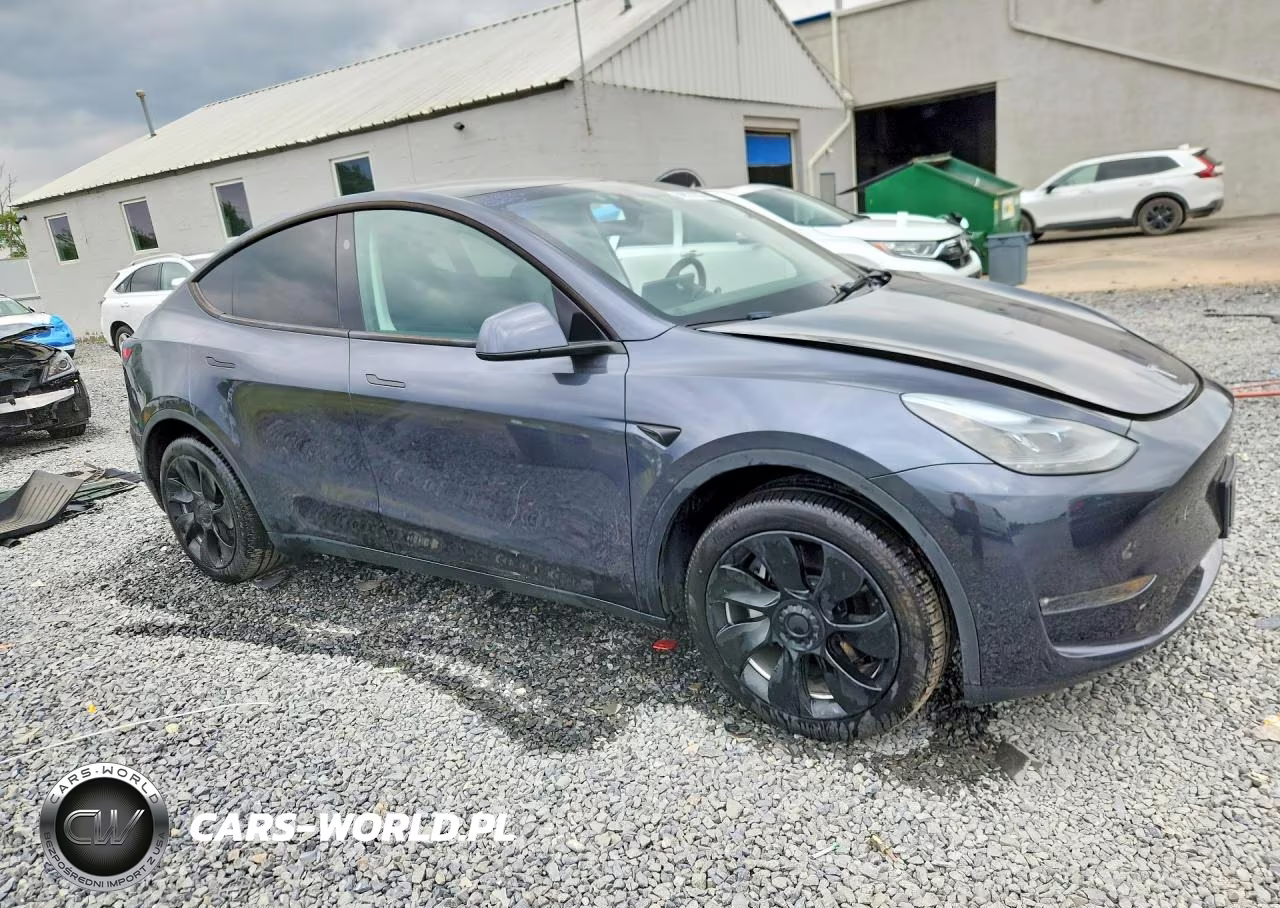 2024 Tesla Model Y VIN:7SAYGDEE5RA283102 - 4
