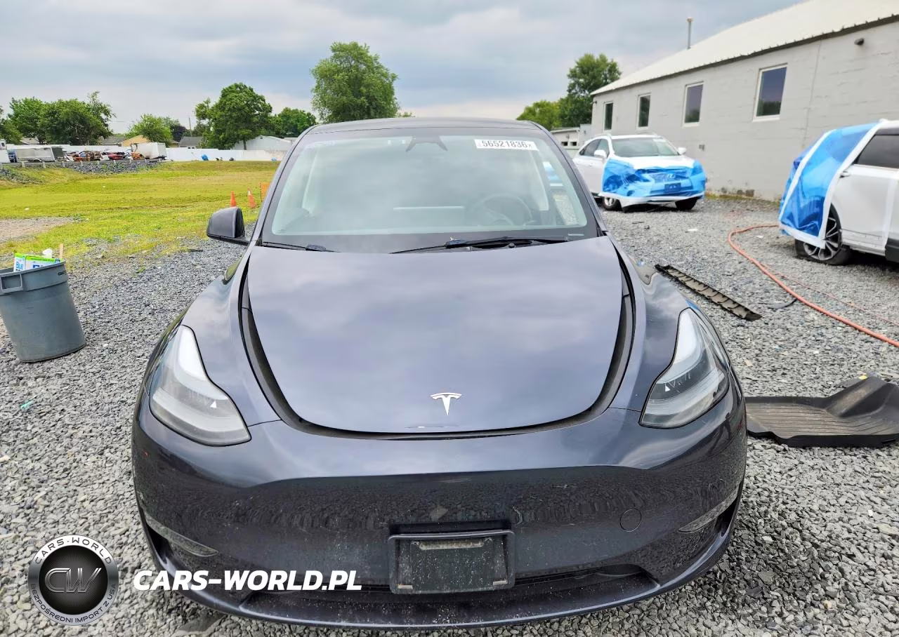 2024 Tesla Model Y VIN:7SAYGDEE5RA283102 - 5