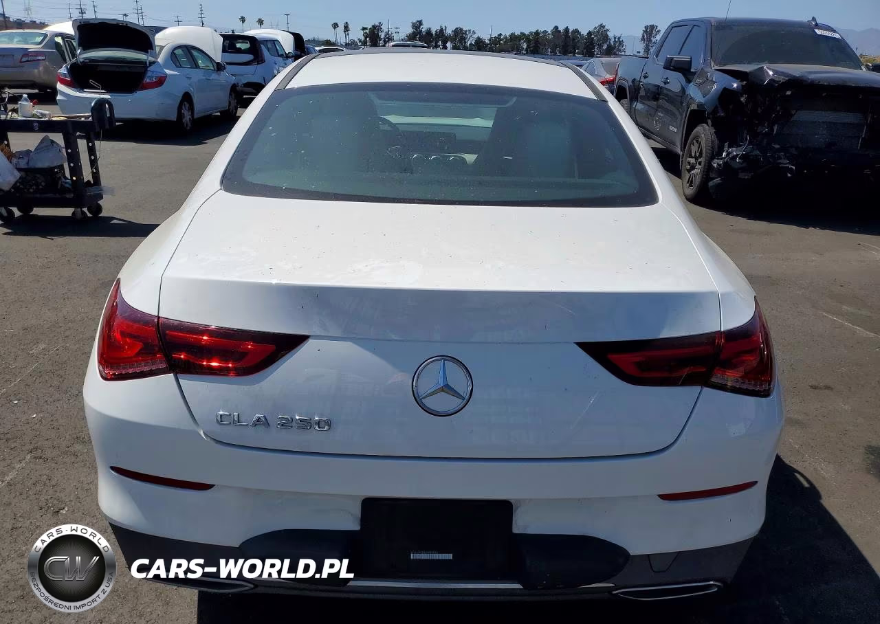 2020 Mercedes-Benz Cla 250 VIN:W1K5J4GB4LN089912 - 6