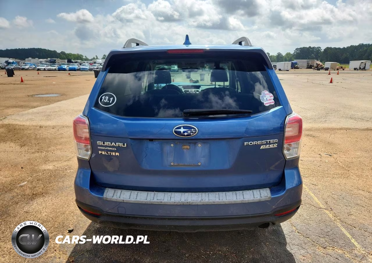 2017 Subaru Forester 2.5I Premium VIN:JF2SJAGC7HH564450 - 6